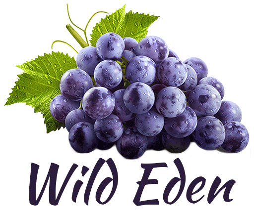 Wild Eden Self Catering