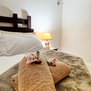 bed003-2